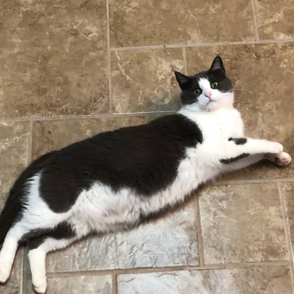 Meet your Posher! - Picture 5 of 5